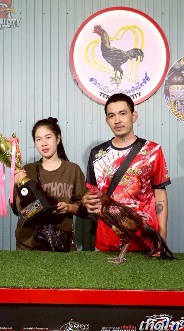 ซุ้ม 🐔หนุ่มท่าจีน🐔