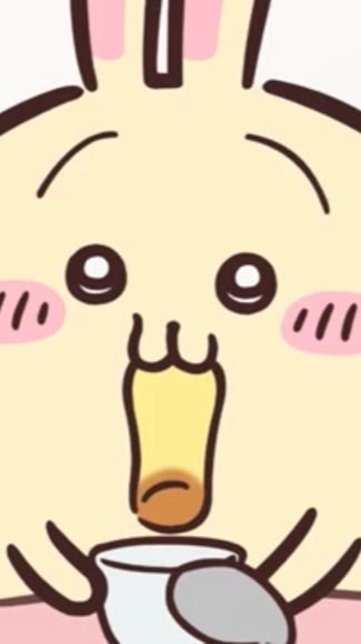 SHEIN協力