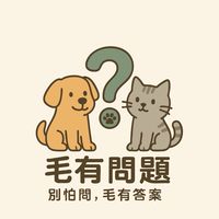 毛 有問題
