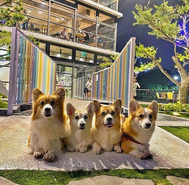 照片來源: IG @xerxes0531