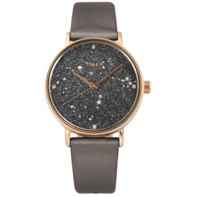 原廠公司貨 / 一年保固 美國第一品牌 防水5BAR 夜光星座顯示:魔羯/水瓶/雙魚 TXTW2T87700