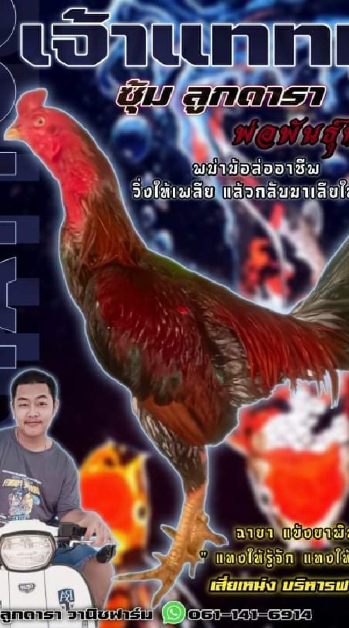 ซุ้มลูกดารา168