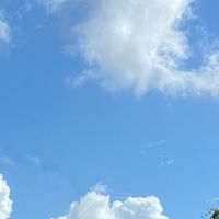 ✨Vina公益療癒99引導（家庭事業婚姻財富）🦄🐉🪽