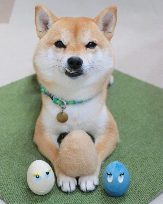 換毛期の愛犬の 抜け毛アート で分身ができた