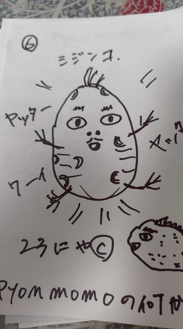 Oneday-Onestepお譲り専用