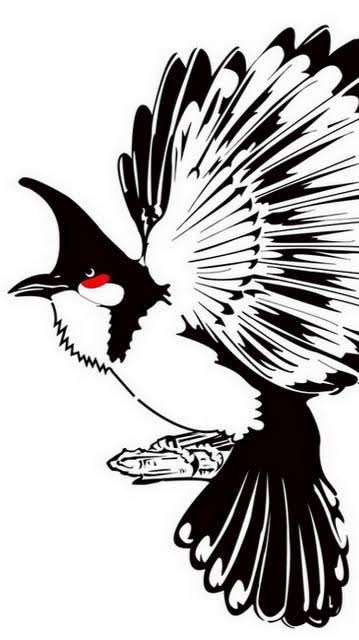 แบ่งปันนกกรงหัวจุกแฟนซีเสียงทอง