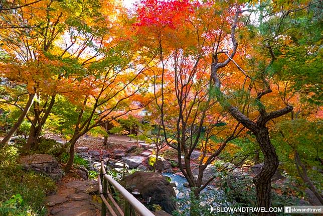 名古屋 市中心的紅葉名所 白鳥庭園 Slow And Travel Line Today