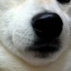 歌オプではあります