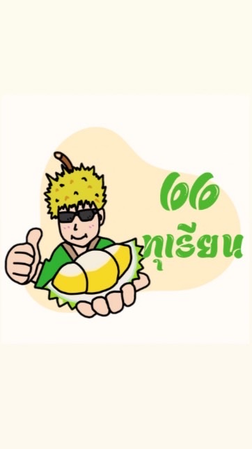 แผง 66 ทุเรียน 66 榴蓮