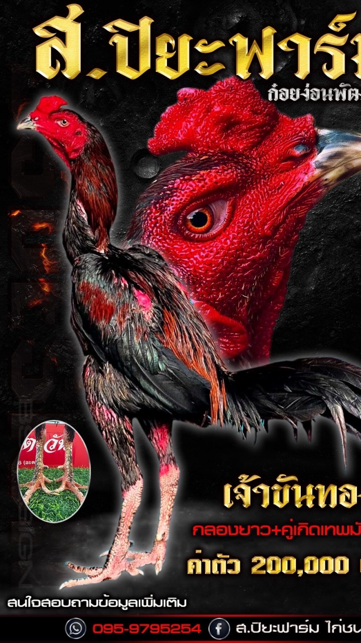 ซุ้ม ส.ปิยะฟาร์ม
