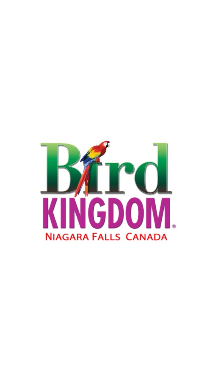 bird kingdomのオープンチャット