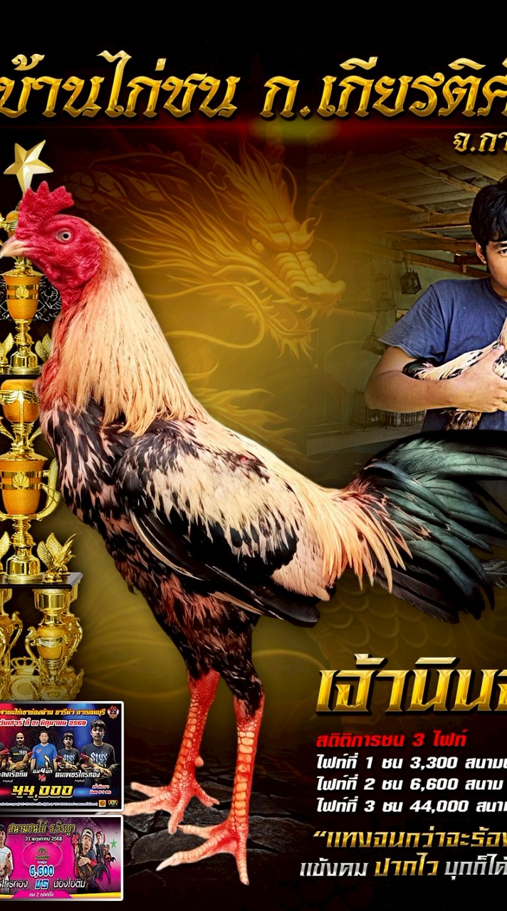 บ้านไก่ชน ก.เกียรติศักดิ์