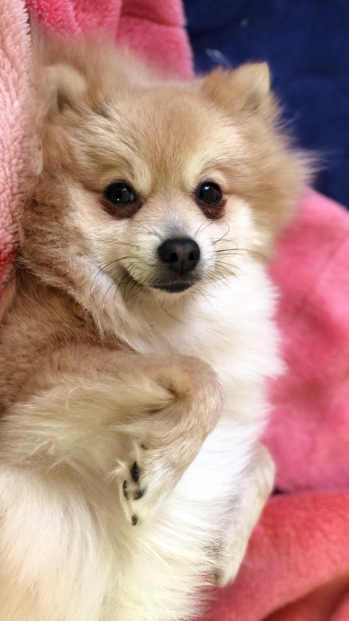 みや校長の教室のオープンチャット