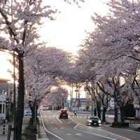 明治大学経営学部1年