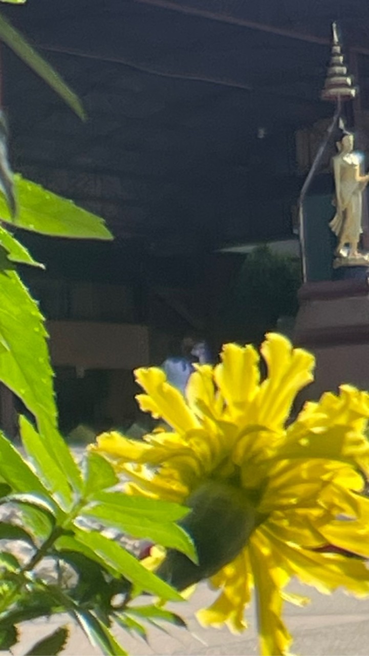 วิทยาศาสตร์ มอ ๒ ปี 2567