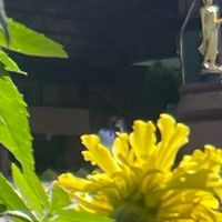 วิทยาศาสตร์ มอ ๒ ปี 2567