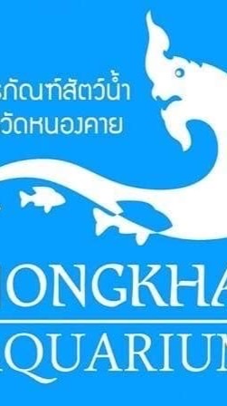 ตลาดอควาเรียม