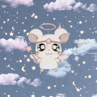 🫧とっとこハム太郎部屋˘͈ᵕ˘͈✧˖*