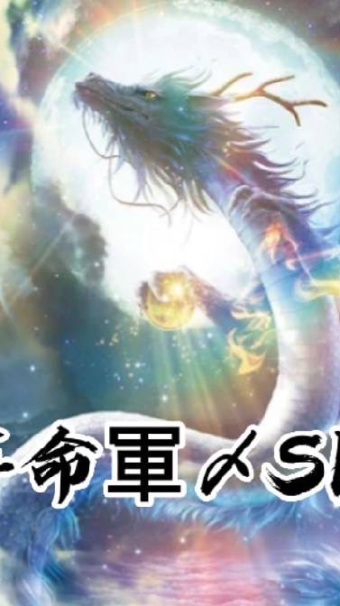 革命軍SKH