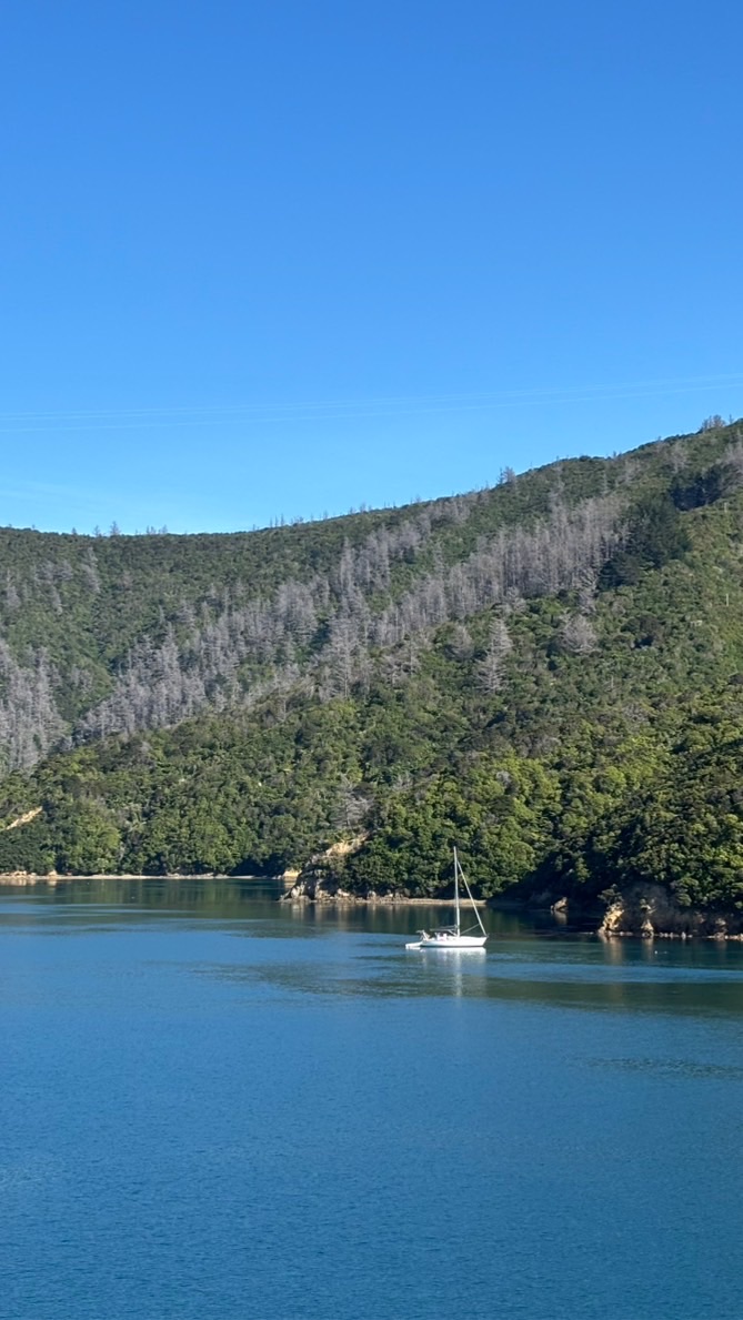珍妮佛✨中國旅遊資訊交流、湊團、包團