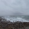 海政行