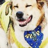 ทดลองระบบ fc พี่เตี้ย มช