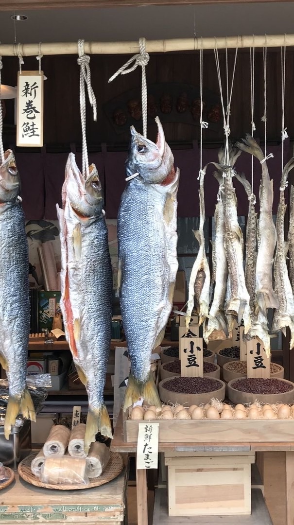 洲美現撈ㄟ深海魚🐠