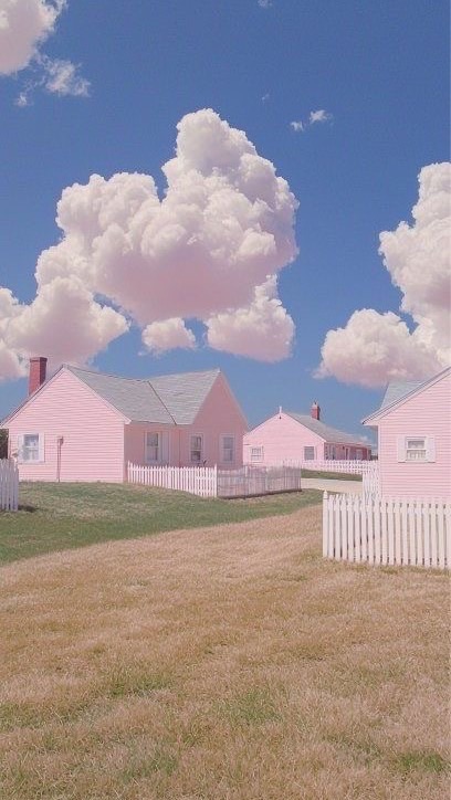 𝘞𝘩𝘦𝘯 𝘵𝘩𝘦 𝘍𝘭𝘰𝘸𝘦𝘳𝘴 𝘉𝘭𝘰𝘰𝘮