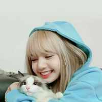 คลิปTik Tok หน้าดู