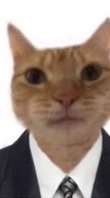 お盛ん組