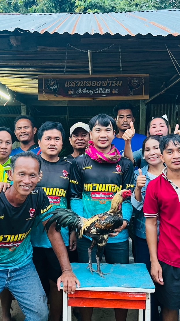 ครูเต๋าไก่ชน🐔🇲🇲🐉