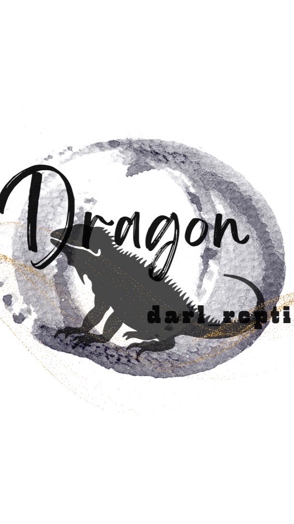 Darl Dragon