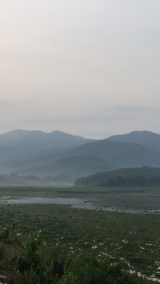 รูปภาพบนดอย