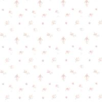 ୨⠀𓈒  ᱸ 𝒮ymbol groun𝒫 𓈒  ໒꒱  ˚ ୧ 𓈒