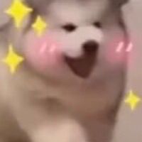 處關係/CP、發瘋