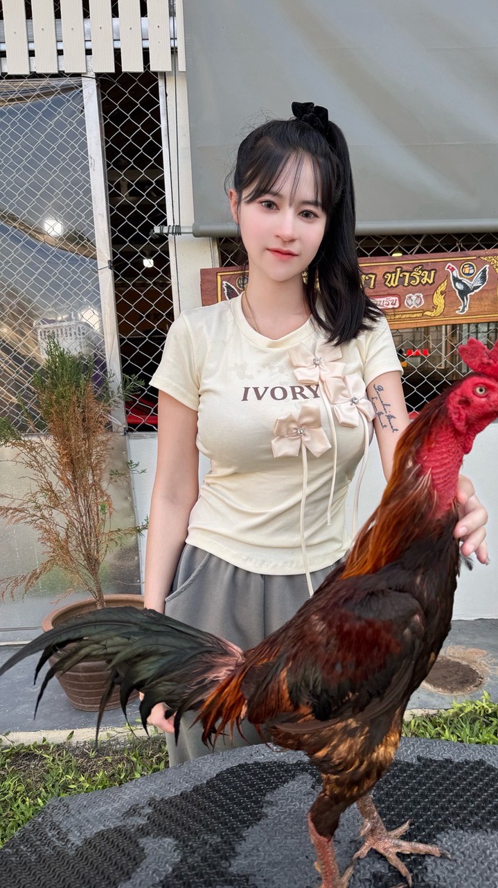 บีบีกัญญาฟาร์ม