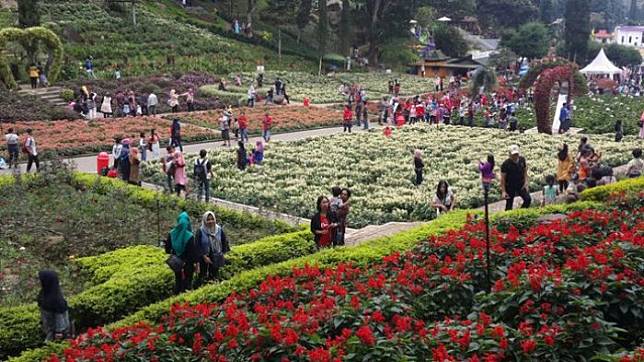 Brrr, 8 Tempat Paling Dingin di Indonesia, Selain Puncak! Suhunya Bikin Tubuh Menggigil