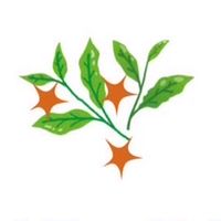ร้าน ชาชาช่า