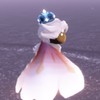 【sky】キャンマラ固定･フレンド募集【毎日インする方向け】