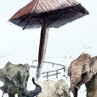 清邁自由行（二）