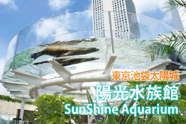 【日本】東京池袋太陽城《陽光水族館SunShine Aquarium》門票 #GOMAJI吃喝玩樂券#電子票券#海外票券