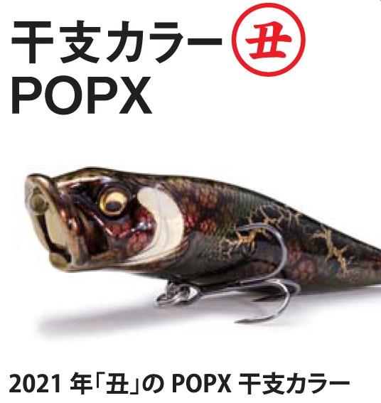 人気ルアー限定カラーや21年新製品などなど 今年も激アツ 数量限定 21年メガバス福袋