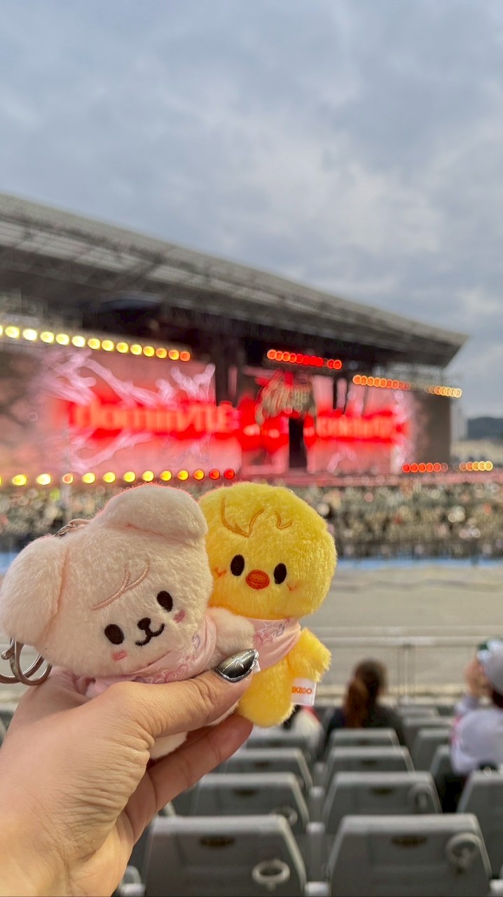 tiny bliss代購|拆車