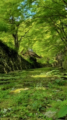 【滋賀県】を中心に地域どこでも🆗40代からの楽しくお話しの部屋