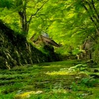 【滋賀県】を中心に地域どこでも🆗40代からの楽しくお話しの部屋