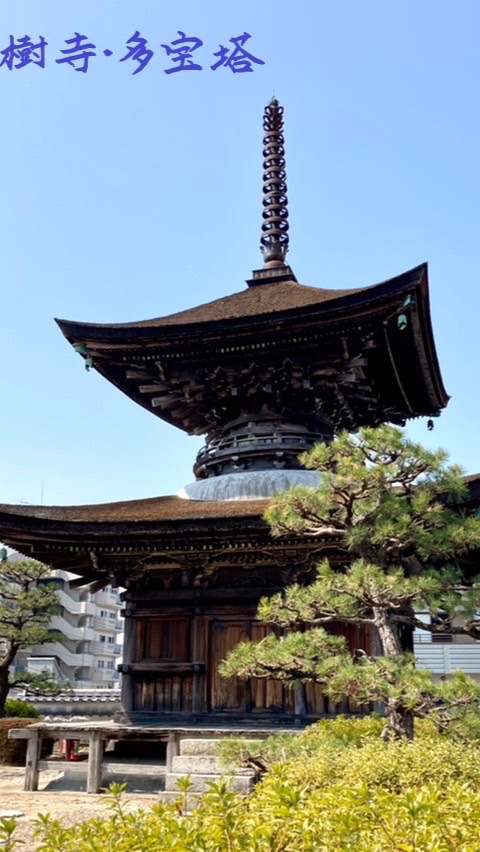 OpenChat 東海3県神社仏閣巡り同好会。