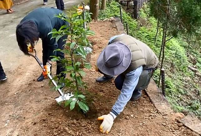 「賴桑」砸數億買10座山就為了種樹 網淚喊：真偉人！