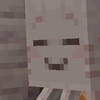 マイクラ都市鯖！(にる鯖)