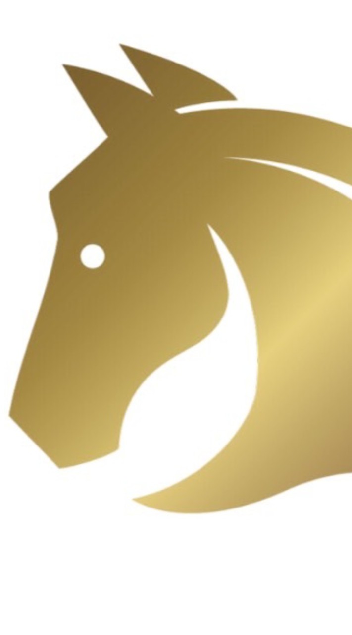 ห้างทองเยาวราชม้าทอง/ရွှေမြင်းရွှေဆိုင်