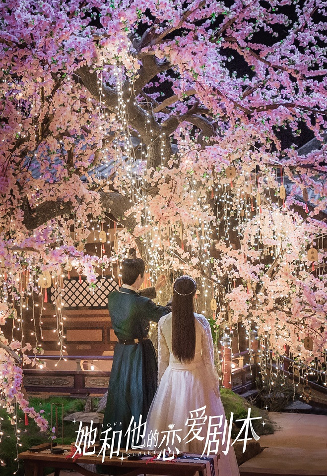 陸劇新劇照官宣4：完顏洛絨、莊達菲《她和他的戀愛劇本》